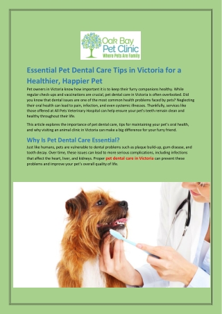 Essential Pet Dental Care Tips in Victoria for a Healthier, Happier Pet