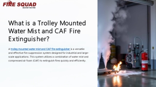 Prevent Fires Effectively with Trolley Mounted Water Mist and CAF Technology