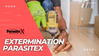 Extermination Parasitex , Votre Exterminateur à Gatineau