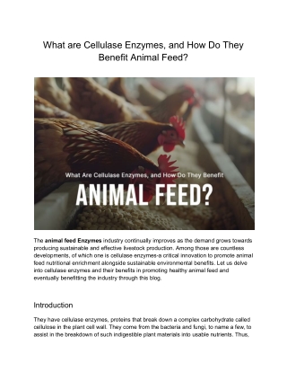 Enhancing Animal Feed with the Power of Cellulase Enzymes
