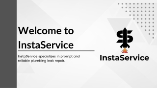 Reliable Plumbing Leak Repair Services You Can Trust