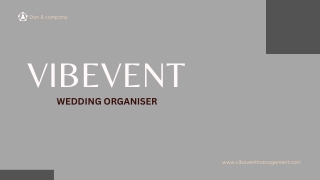 Vibevent presentatiom