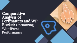 Perfmatters vs WP Rocket