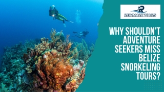 Why Shouldn't Adventure Seekers Miss Belize Snorkeling Tours?