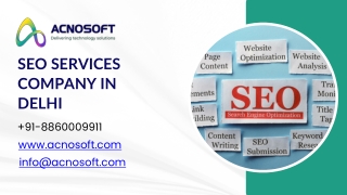 SEO Services Company in Delhi