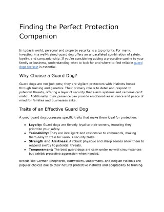 Finding the Perfect Protection Companion