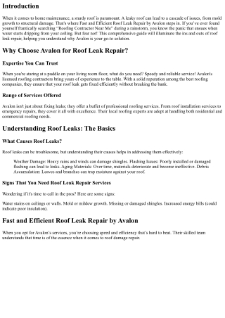 Fast and Efficient Roof Leak Repair by Avalon