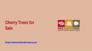 Cherry Trees for Sale - www.mailordertrees.co.uk