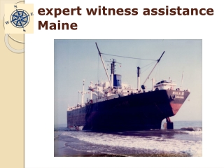 expert witness assistance Maine