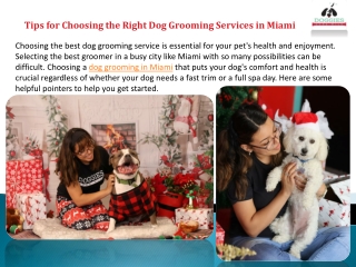 Tips for Choosing the Right Dog Grooming Services in Miami