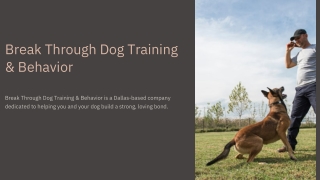 Dog Trainers In Dallas By Break Through Dog Training & Behavior