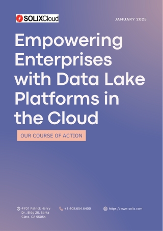 Empowering Enterprises with Data Lake Platforms in the Cloud