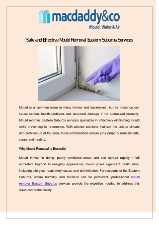 Safe and Effective Mould Removal Eastern Suburbs Services