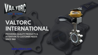 STAINLESS STEEL PNEUMATIC ACTUATOR