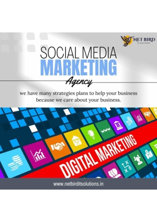 Improve Your Website with NetBird: Best Social Media Marketing Agency in Noida