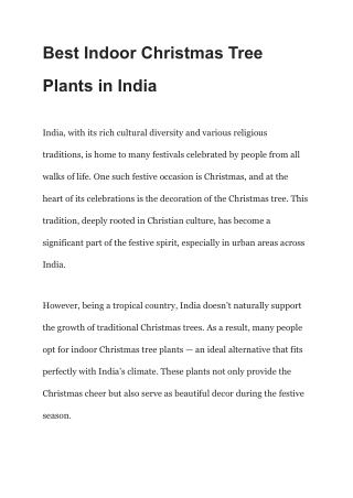 Best Indoor Christmas Tree Plants in India