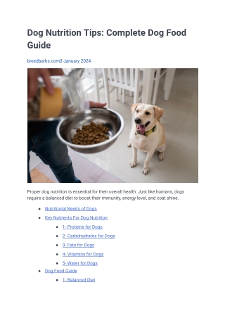 Dog Nutrition Tips Complete Dog Food Guide