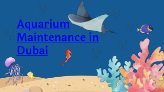 Aquarium Maintenance in Dubai