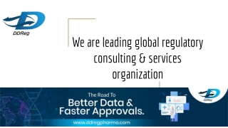 Regulatory Consulting Provider