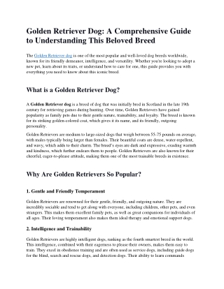 Golden Retriever Dog A Comprehensive Guide to Understanding This Beloved Breed