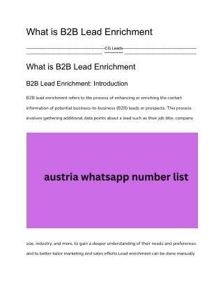 What is B2B Lead Enrichment