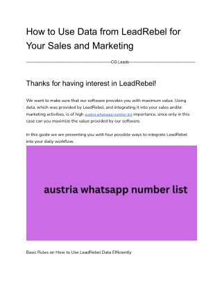 How to Use Data from LeadRebel for Your Sales and Marketing