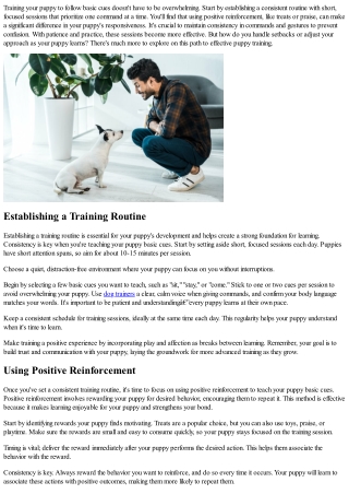 Simple Methods to Teach Your Puppy to Follow Basic Cues