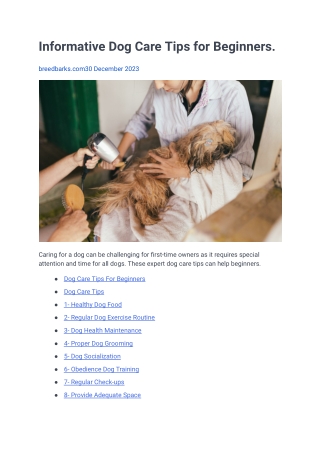 Informative Dog Care Tips for Beginners