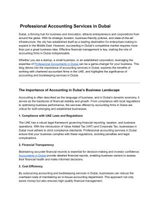 Professional Accounting Services in Dubai