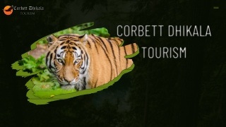 Explore the Wilderness of Dhikala Zone in Jim Corbett with Corbett Dhikala Touri