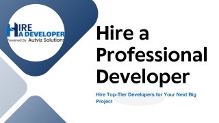 Hire a Professional Developer