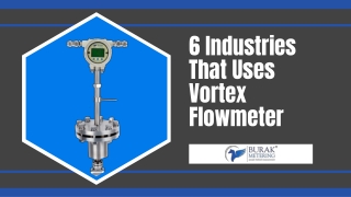 Industries That Uses Vortex Flowmeter