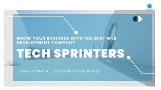 Grow Your Business with Tech Sprinters