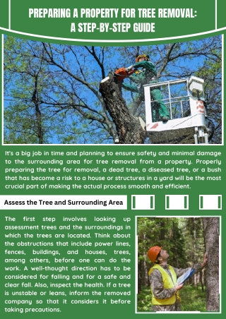 Efficient and Safe Tree Removal Service