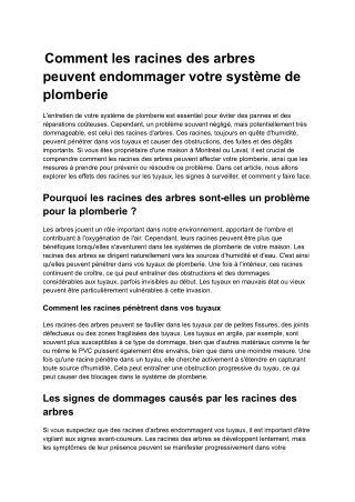 Comment les racines des arbres peuvent endommager votre système de plomberie (1)