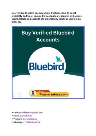 17 Best Site To Buy Verified Bluebird Accounts