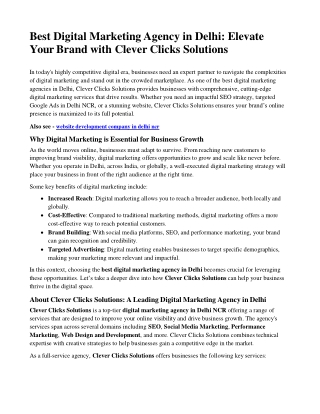 Best Digital Marketing Agency in Delhi - Clever Clicks Solutions
