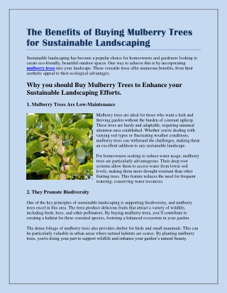 The Benefits of Buying Mulberry Trees for Sustainable Landscaping