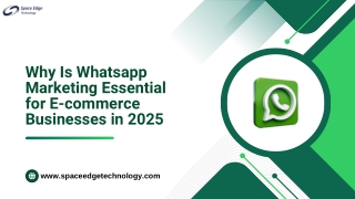Enhance Your Marketing Strategy with Whatsapp Service