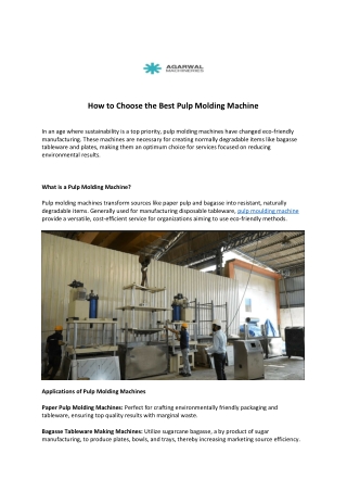 How to Choose the Best Pulp Molding Machine