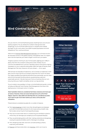 Bird control Sydney
