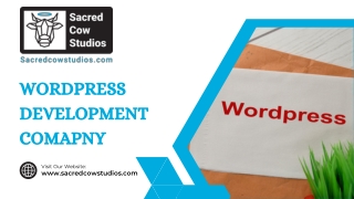 Top 5 Reasons to Hire a WordPress Development Company