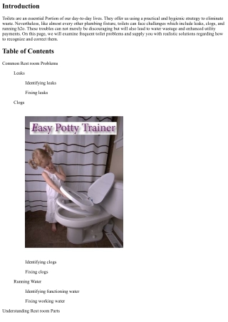 Rest room Difficulties: Tips on how to Determine and Fix Leaks, Clogs, and Manag