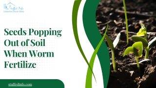 Seeds Popping Out of Soil When Worm Fertilize