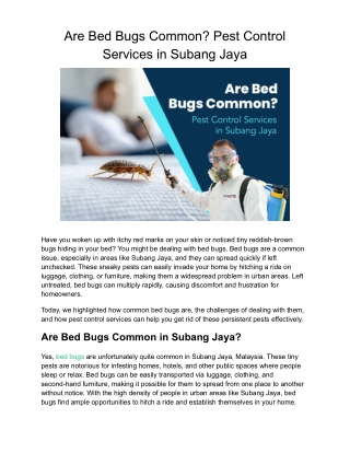 Are Bed Bugs Common? Pest Control Services in Subang Jaya