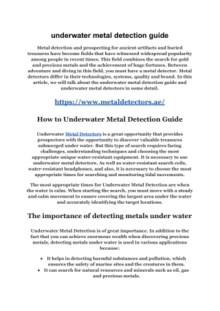 underwater metal detection guide (9)