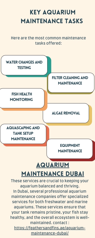 Key aquarium maintenance Tasks - Feathers and Fins UAE