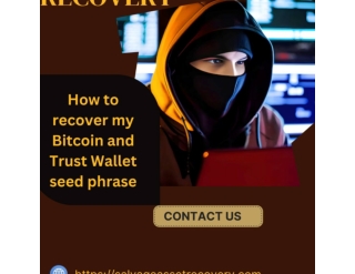 SUCCESSFULLY RECOVER YOUR STOLEN BITCOIN WITH THE HELP OF SALVAGE ASSET RECOVERY