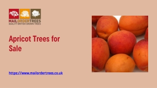 Apricot Trees for Sale - www.mailordertrees.co.uk