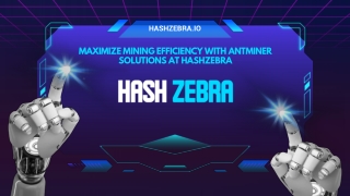 Maximize Mining Efficiency with Antminer Solutions at HashZebra.io